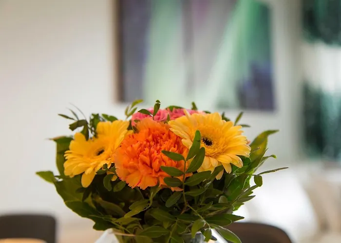 Vasko Luxurious Suites, Nouka
