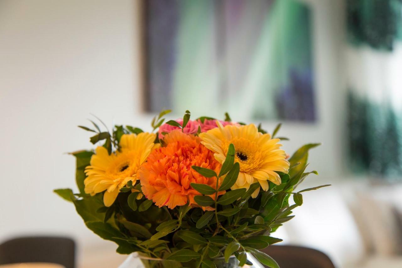 Vasko Luxurious Suites, Nouka Appartement